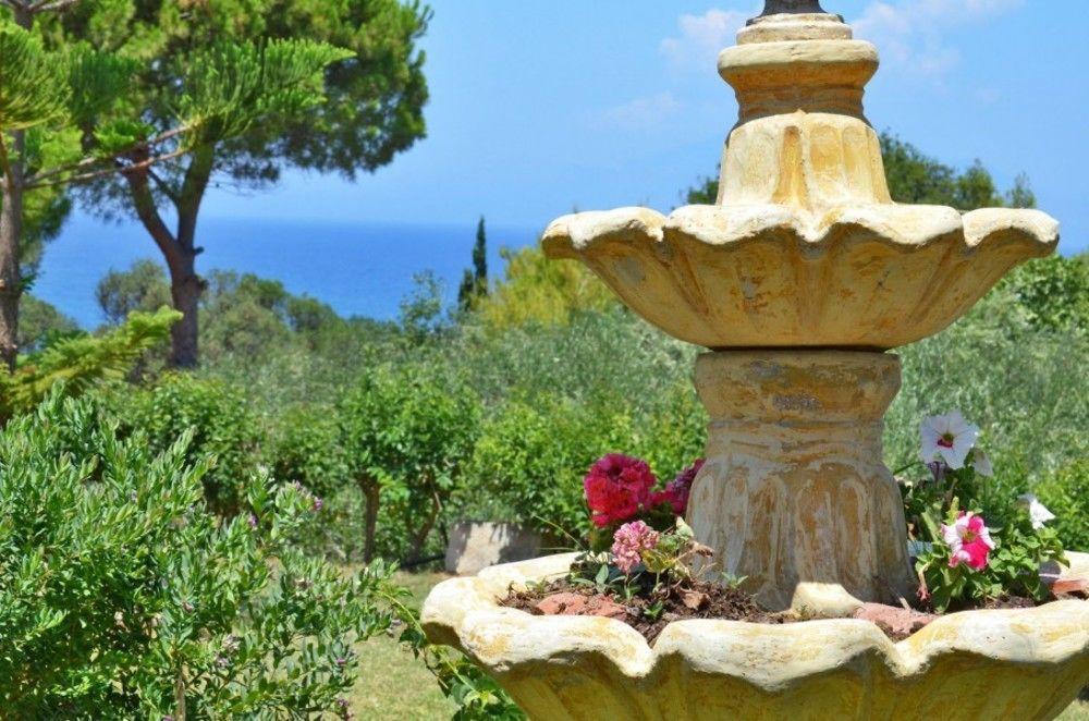 Sole E Mare Apartments Tsilivi  Eksteriør billede